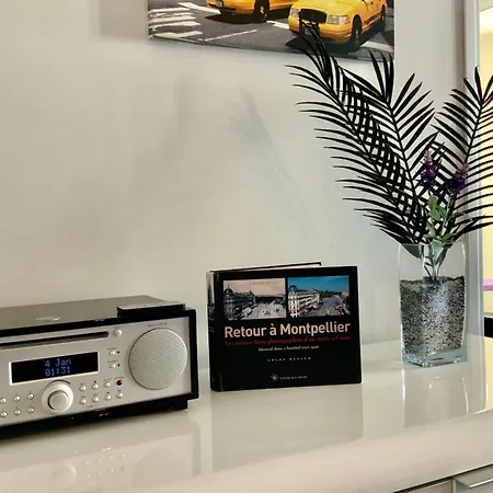L' Antigone - Air Conditioning Wifi And Parking! Holiday home Montpellier